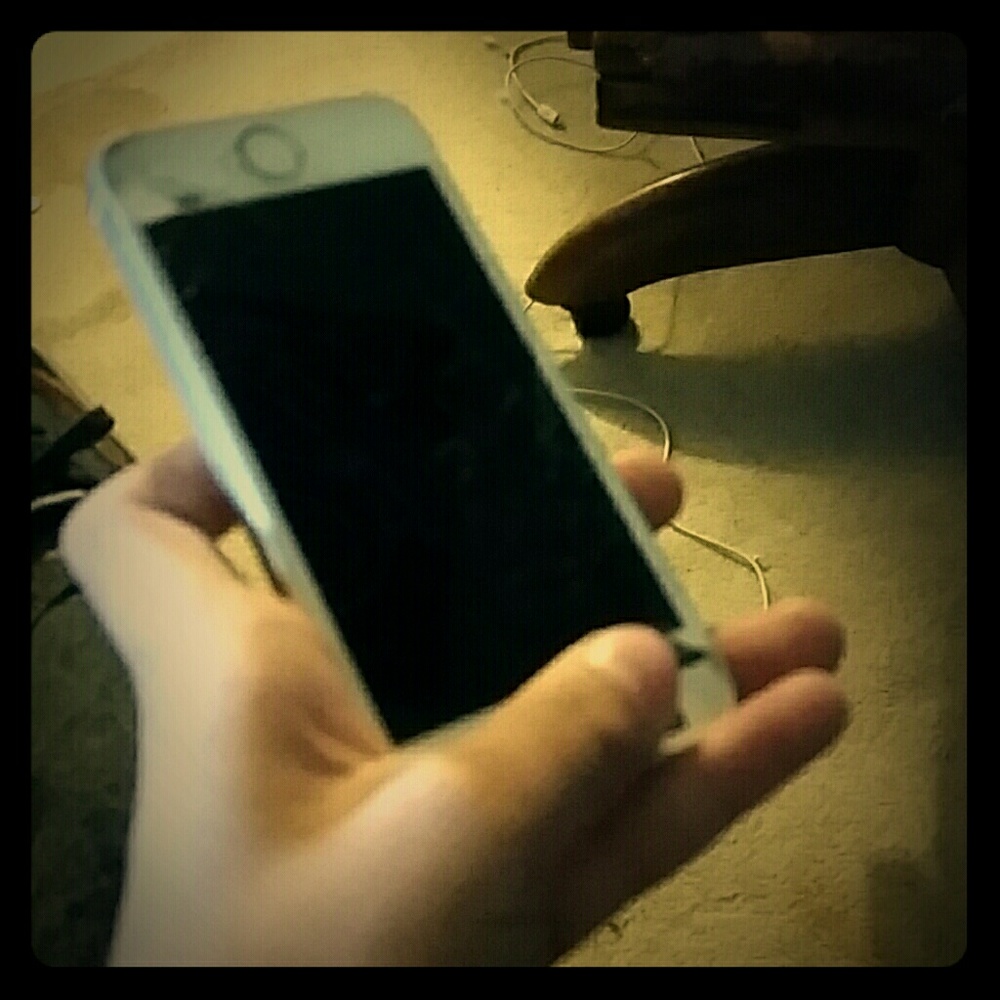 New iPhone 5s and 10ft charger